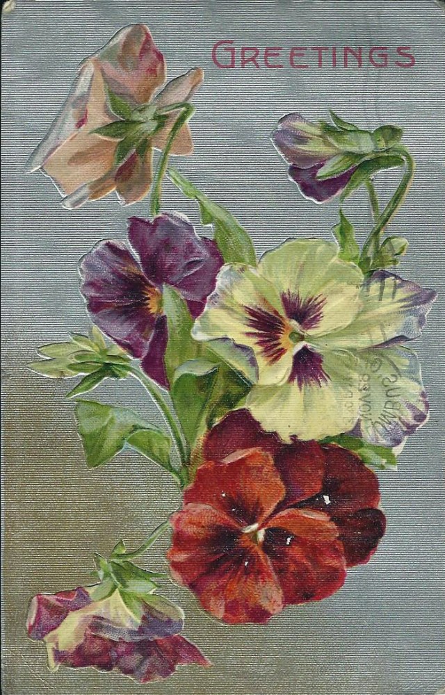 GreetingsPansy1908