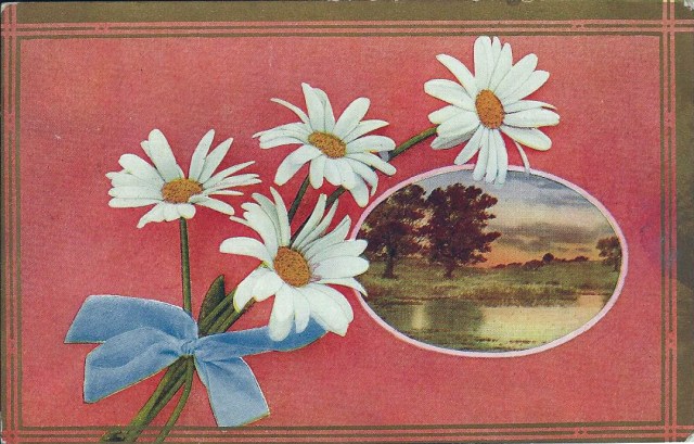 Daisies1910
