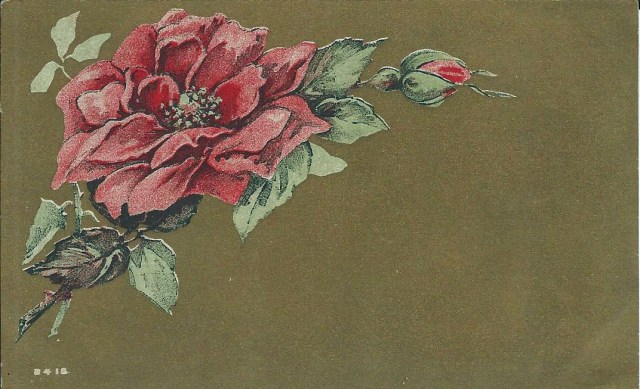 Roses1910