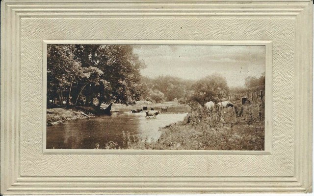 CowsInStream1912