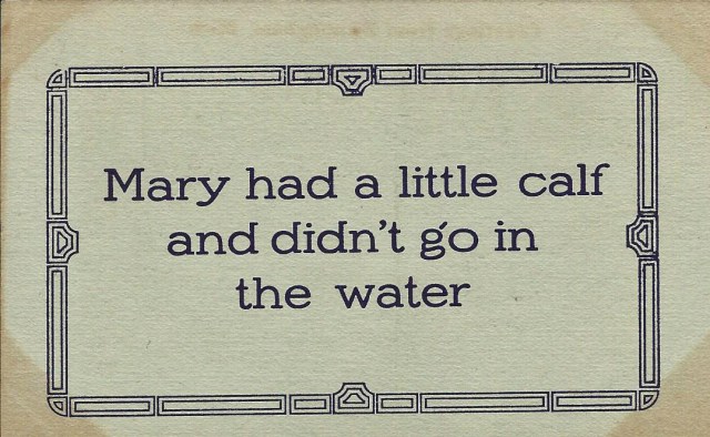 maryhadalittlecalf