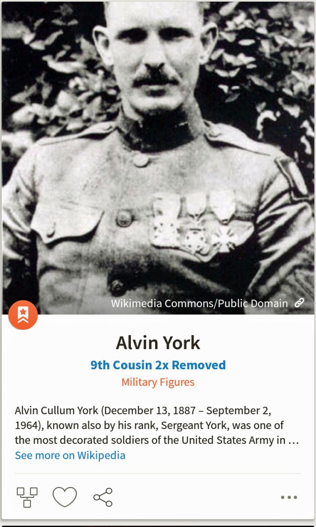AlvinYork