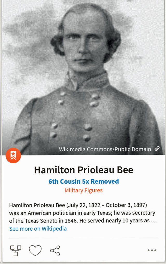 HamiltonBee