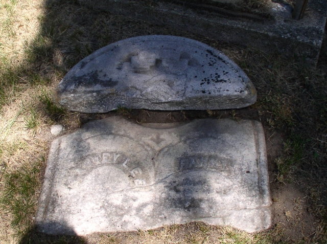 49976717_126913304229